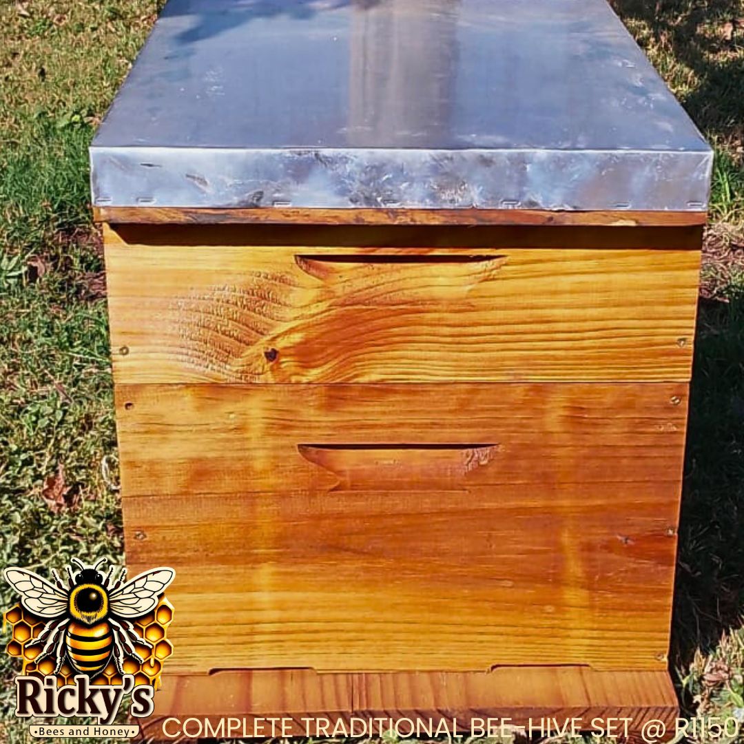 Buy Complete Hives South Africa | Bees & Honey - Image 4
