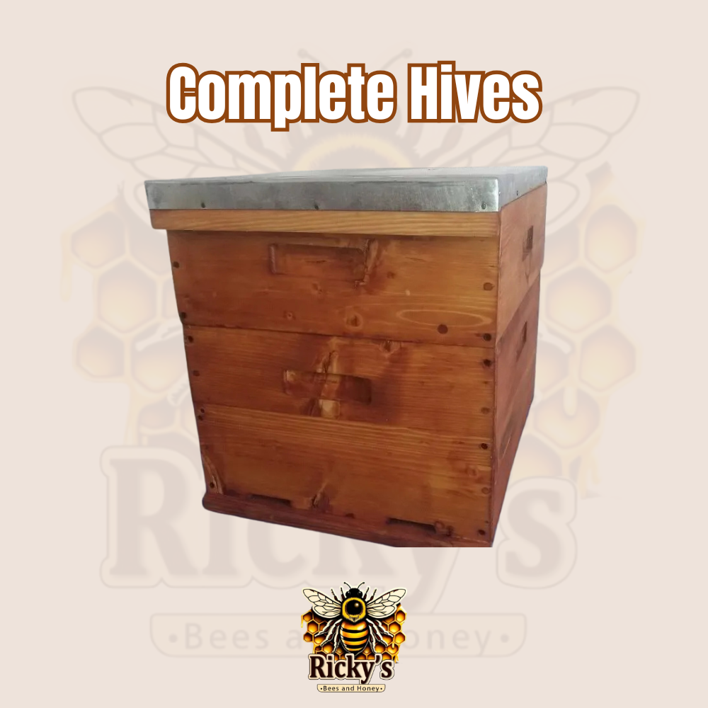 Complete Hive South Africa - Ready-to-Use Beekeeping Solution