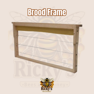 Buy Brood Frames for Beekeeping South Africa | High-Quality Hive Frames