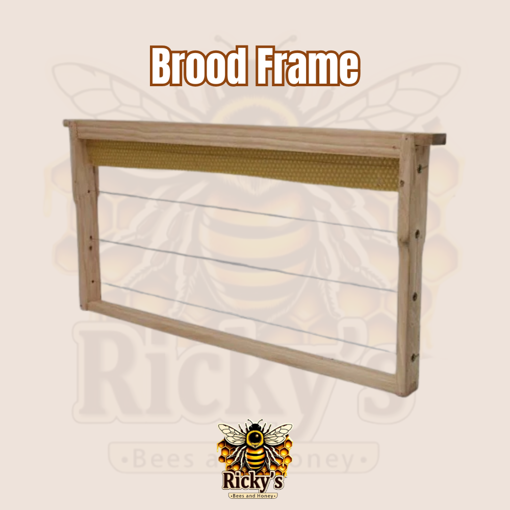 Buy Brood Frames for Beekeeping South Africa | High-Quality Hive Frames