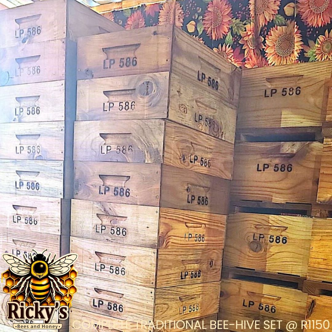 Buy Complete Hives South Africa | Bees & Honey - Image 3