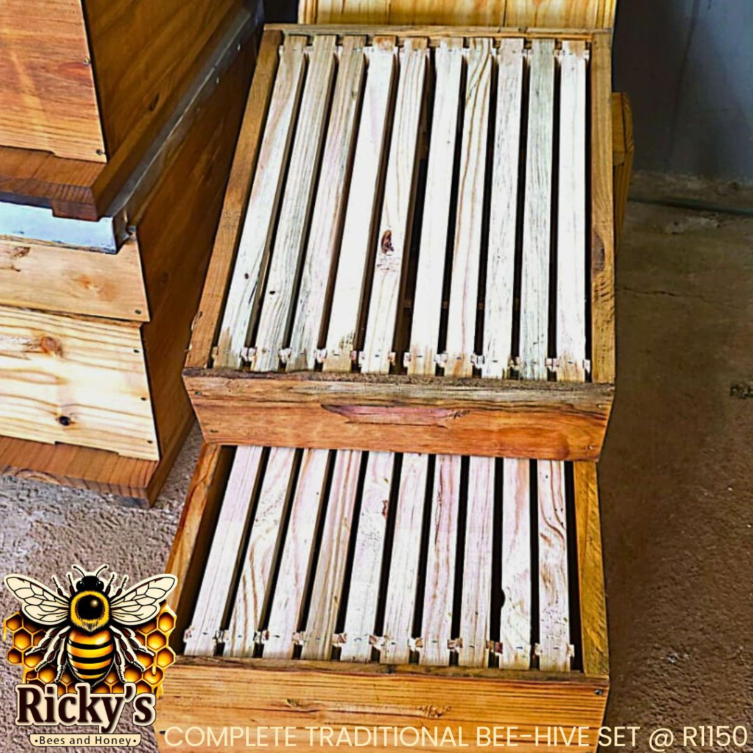 Buy Complete Hives South Africa | Bees & Honey - Image 5
