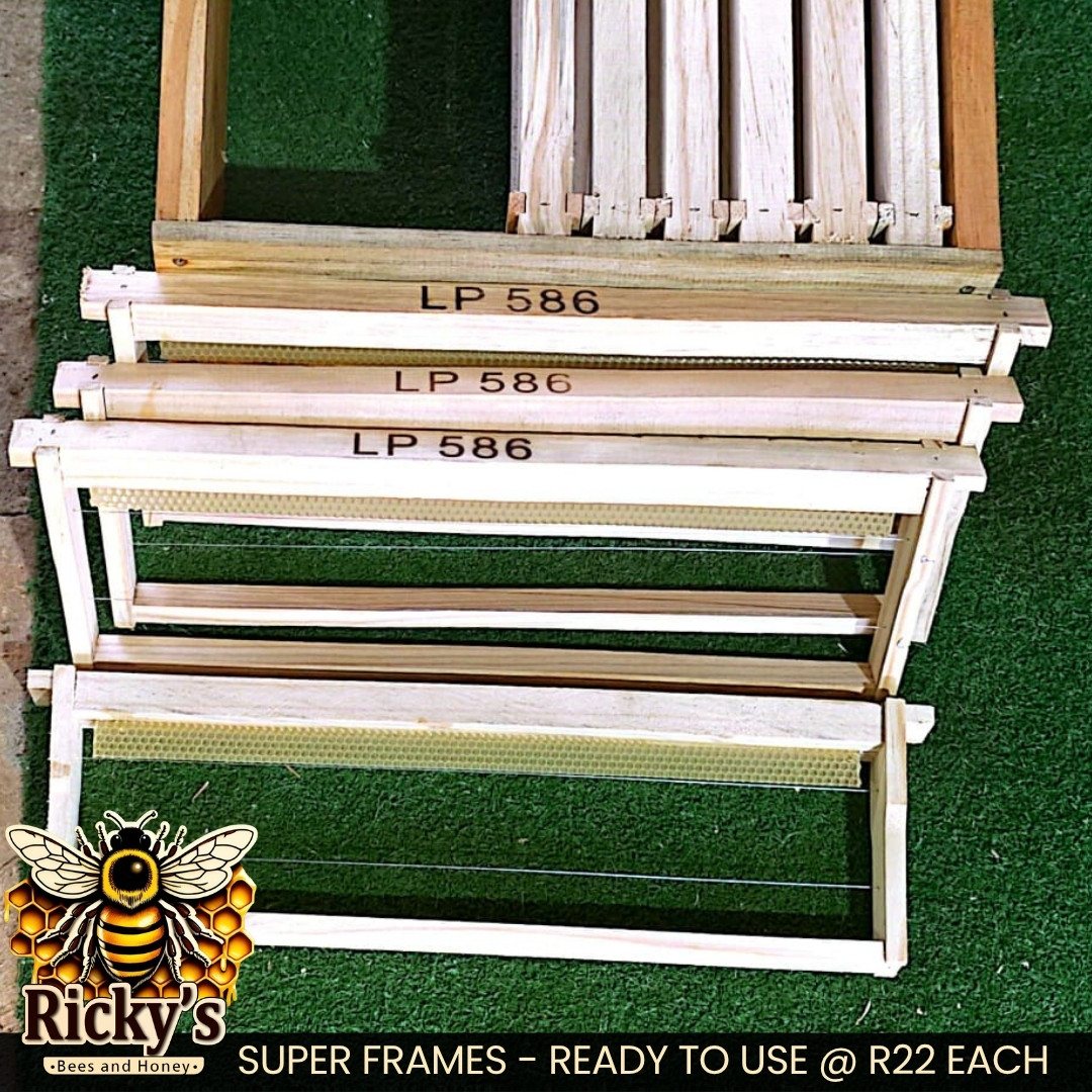 Super Frames - Image 3