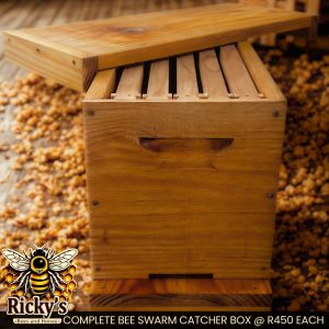 Five brood frames with wax starter strips inside a bee swarm catcher box.