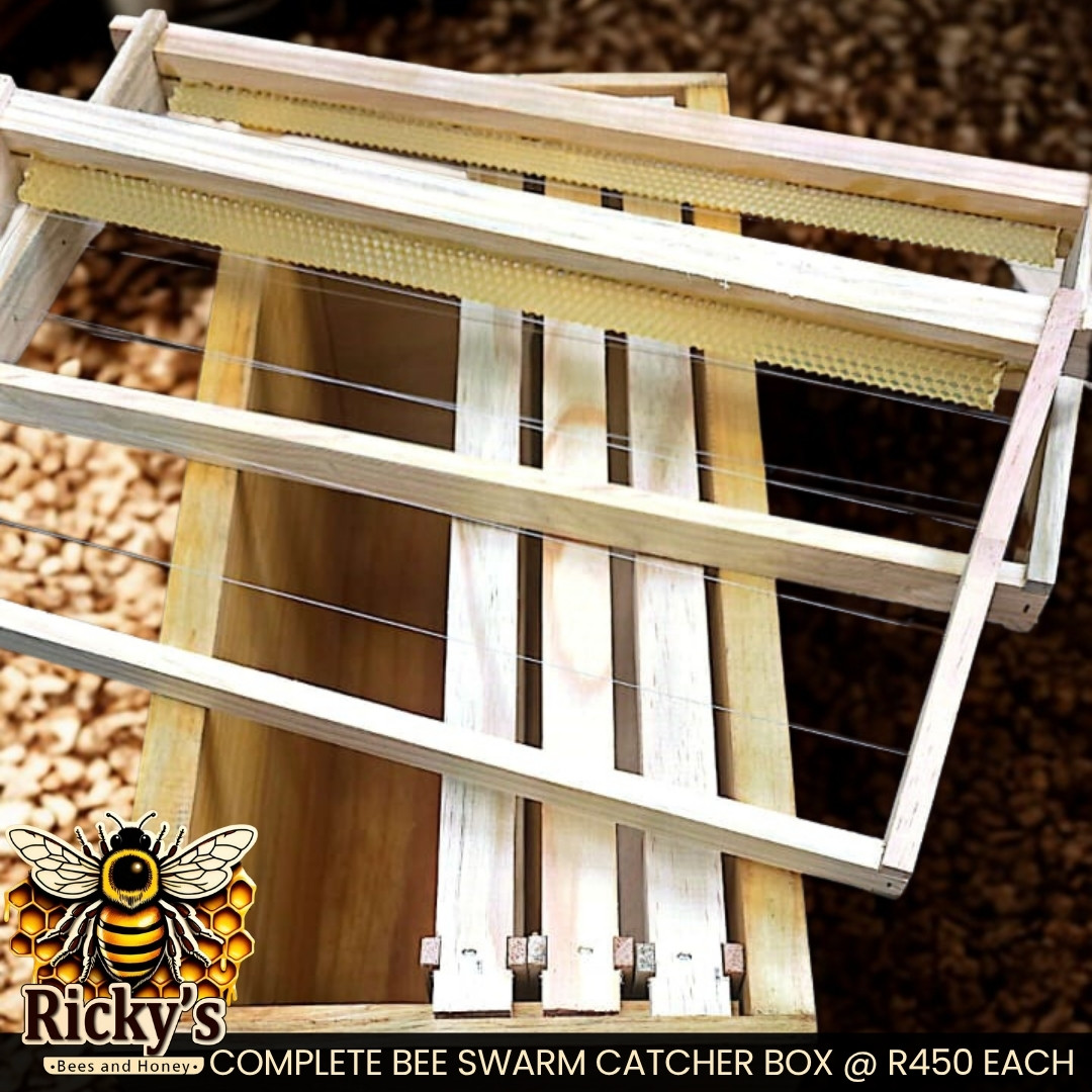 Bee Swarm Catcher Box | Ricky's Beekeeping Swarm Trap